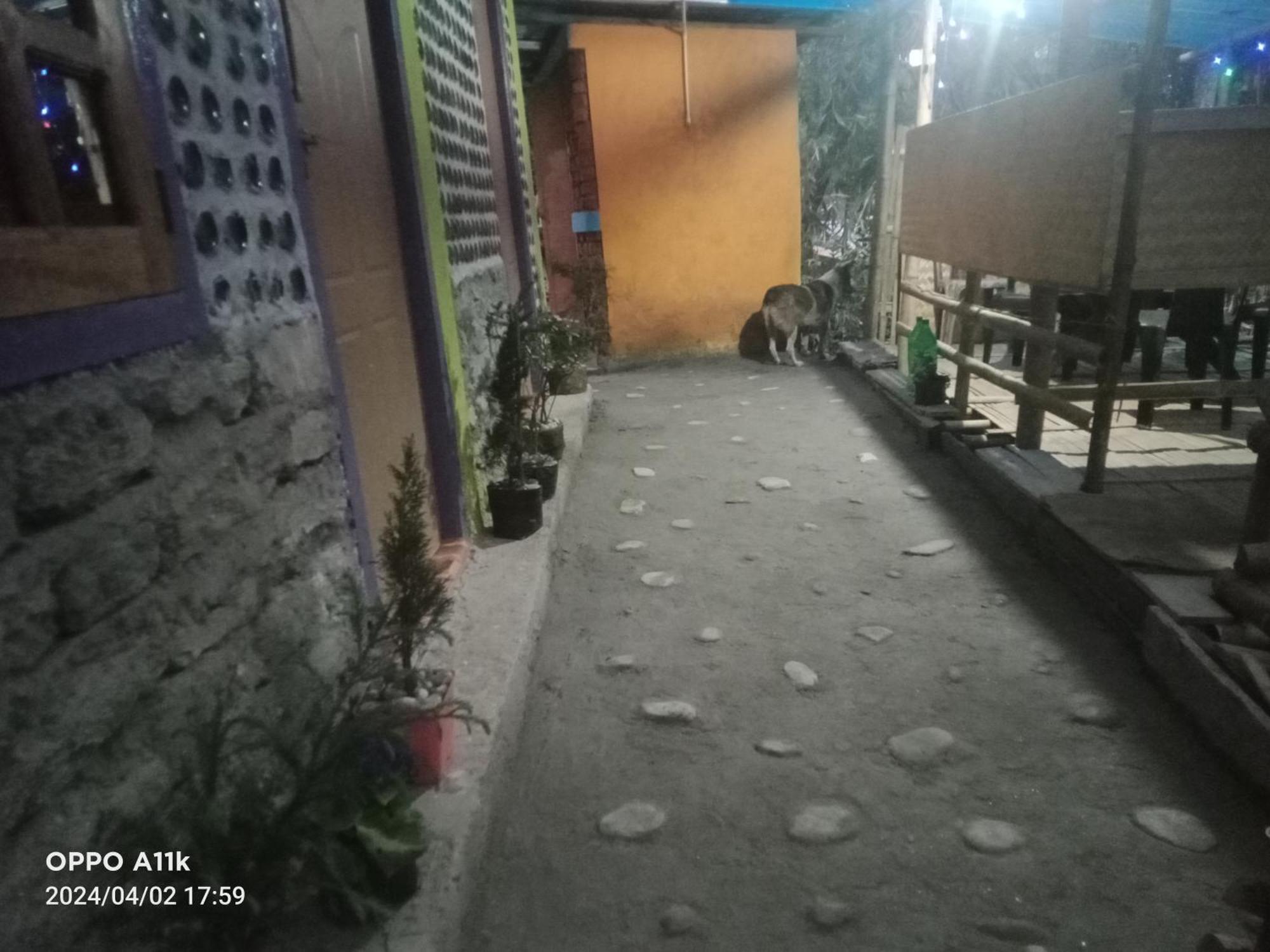 Homestay Dsd Bomzon Darjeeling (West Bengal)